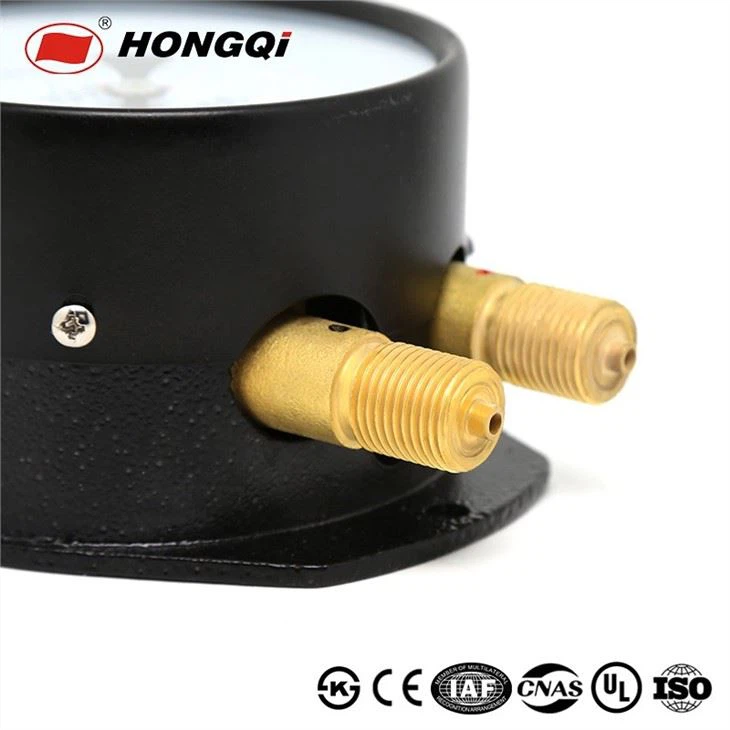 Double Pointer Double Tube Railway Pressure Gauge