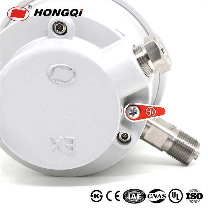 Explosion-proof Electric Contact Pressure Gauge