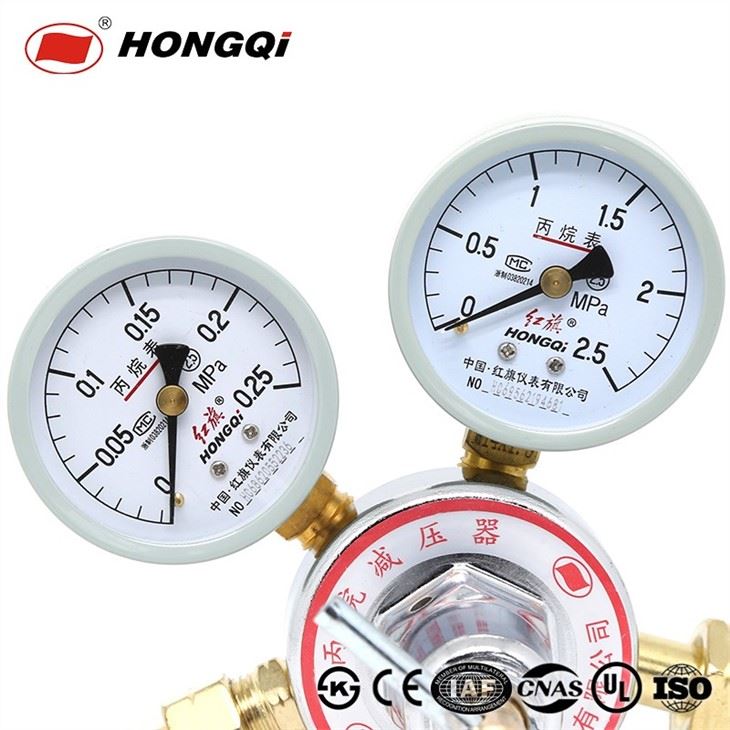 Professional Manufacturer Propane Pressure Reducer With Stainless Steel